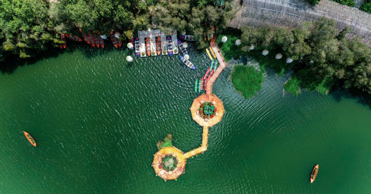 Khu Bảo tồn Đồng Tháp Mười - điểm đến cân bằng giữa vận động và nghỉ ngơi