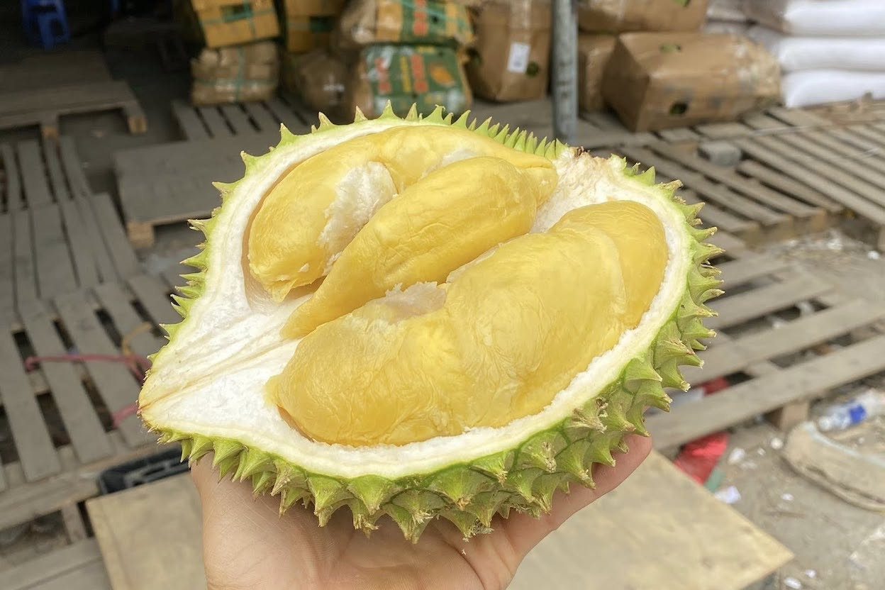 Sầu riêng giàu năng lượng nhưng 4 nhóm người không nên ăn