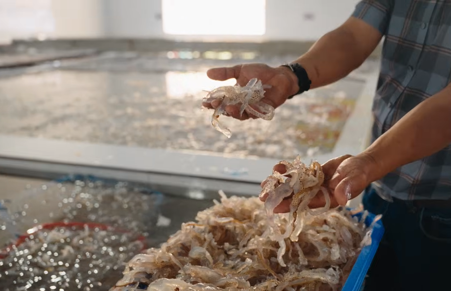 Screenshot 2026 04 25 222323.png