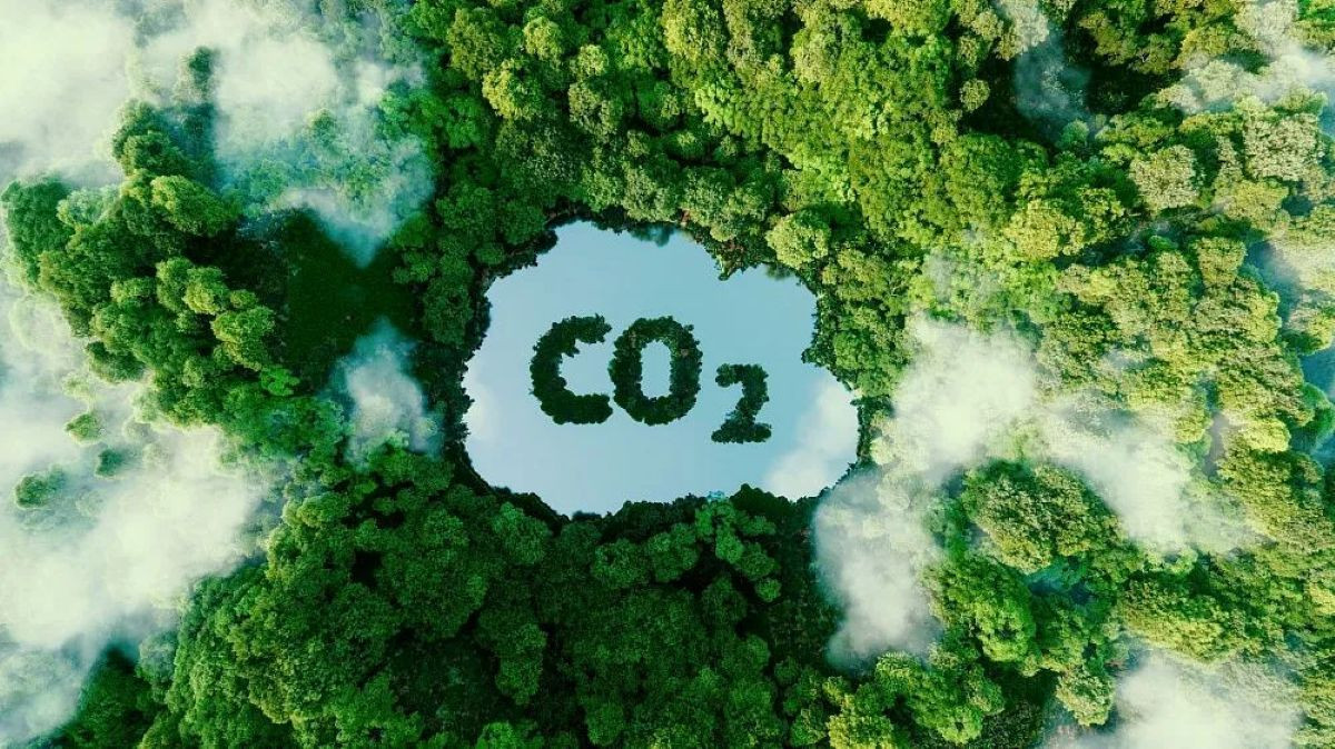 Than đá Trung Quốc 1.jpg