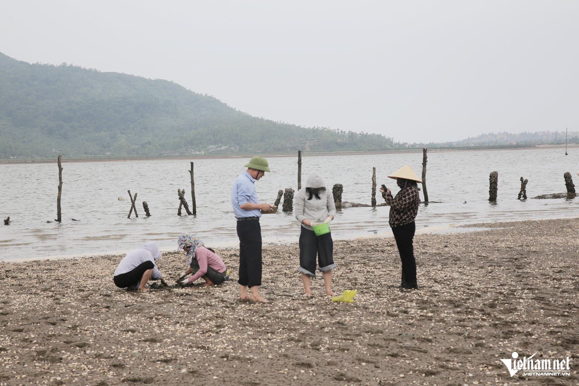 W-a ngao chết2.JPG.jpg