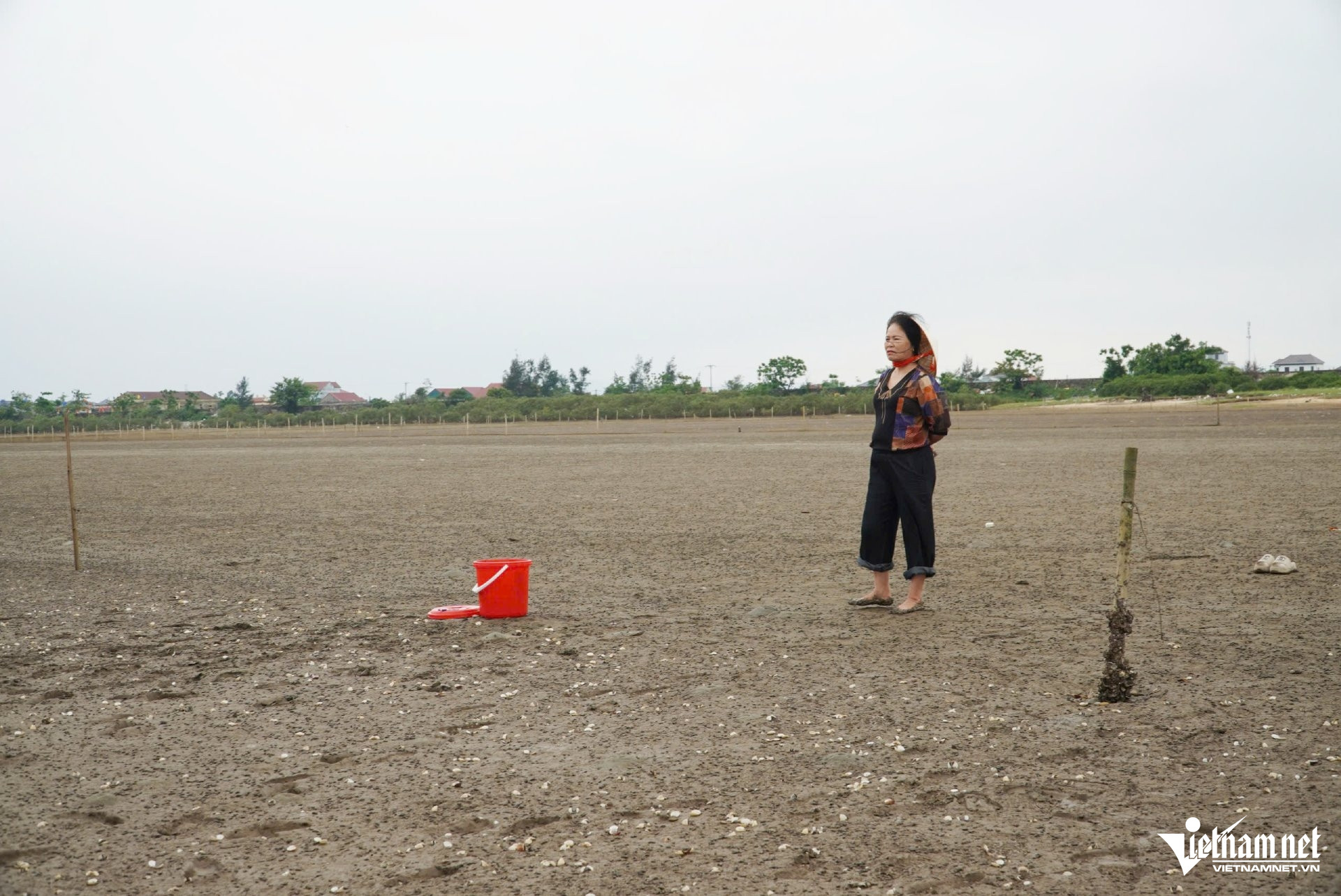 W-a ngao chết6.jpg