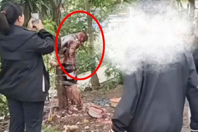 Chú rể bị lột đồ, dội nước tương, ném trứng rồi trói vào cây gây bức xúc