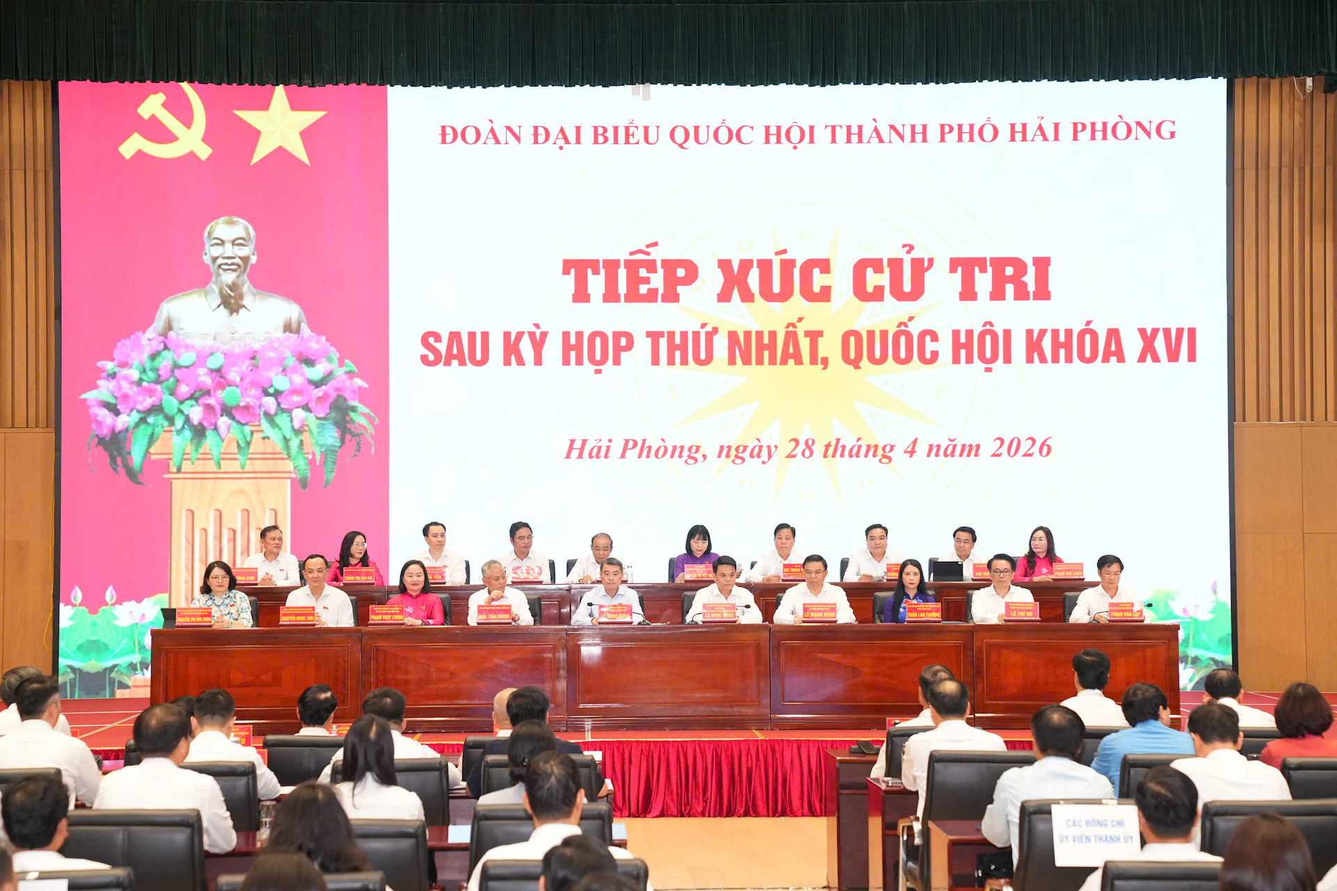 cử tri hp.jpeg