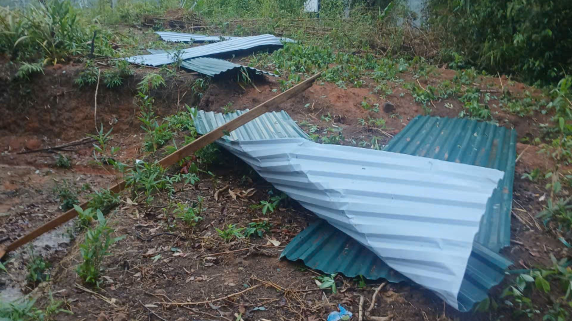 mua da dien bien 2.jpg