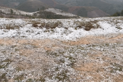 Mưa đá phủ trắng mặt đất tại một xã của Điện Biên