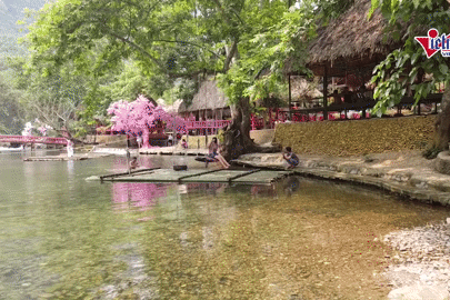 Suối 'ẩn mình' giữa núi rừng Thanh Hóa: Nước trong thấy đáy, hút khách check-in