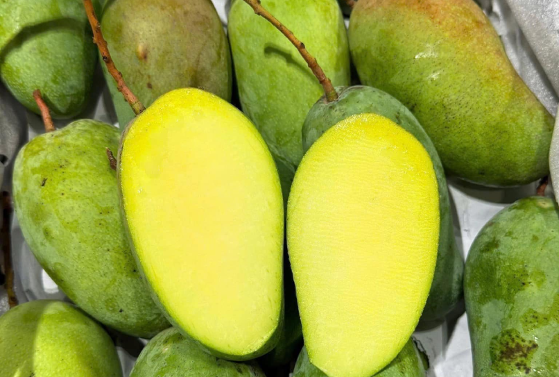Bất ngờ công dụng chữa bệnh của vỏ xoài 00xoai.png