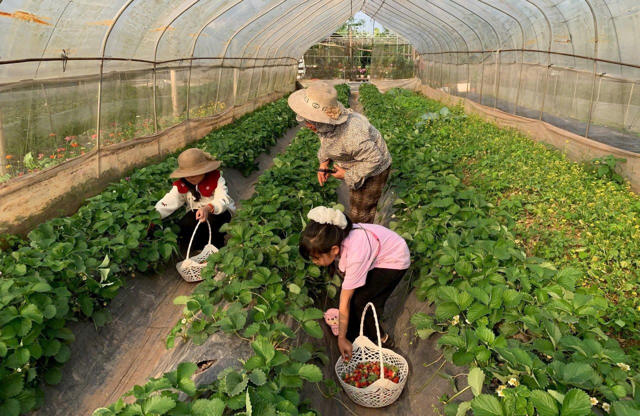 anh khong lao ok.jpg