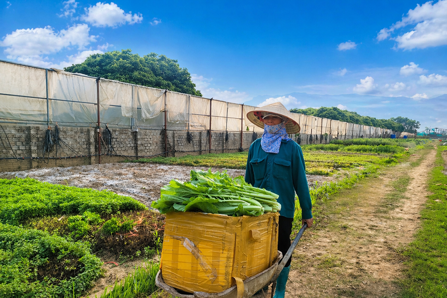 Giải pháp căn cơ giảm nghèo thông tin ở Ninh Bình