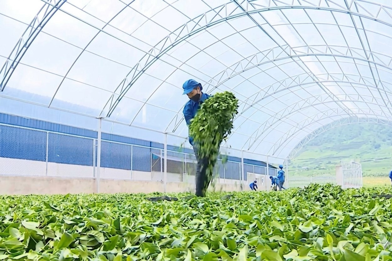 Giảm nghèo thông tin: “Đòn bẩy” giúp phụ nữ Đồng Nai khởi nghiệp bền vững