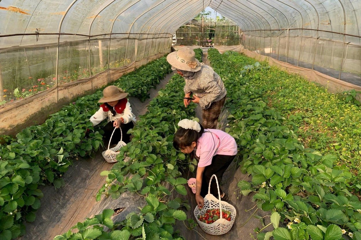  Tiếp cận thông tin – “chìa khóa” giúp phụ nữ Khổng Lào phát triển kinh tế 