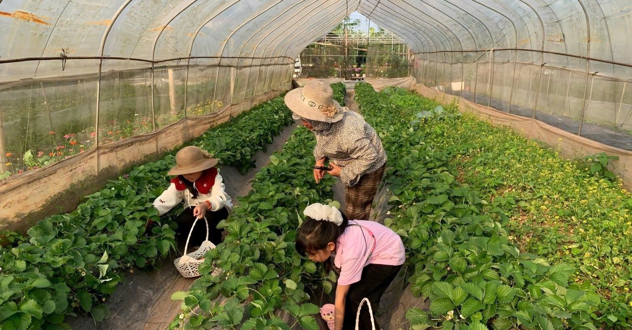 Phụ nữ Khổng Lào vươn lên nhờ tuyên truyền đi trước một bước