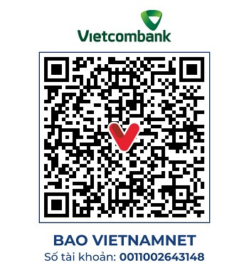 https://static-images.vnncdn.net/vps_images_publish/000001/000003/2026/4/29/vc-111-nguyen-hong-anh-2362.jpg