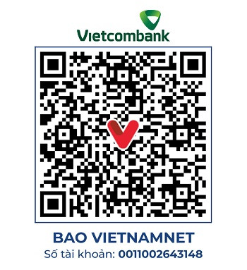 https://static-images.vnncdn.net/vps_images_publish/000001/000003/2026/4/29/vc110-hoang-anh-1662.jpg