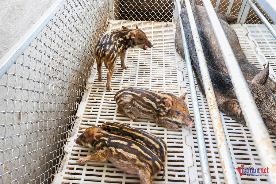 W-117c766f 68f2 493e 82b0 37a50aa31fb2.png