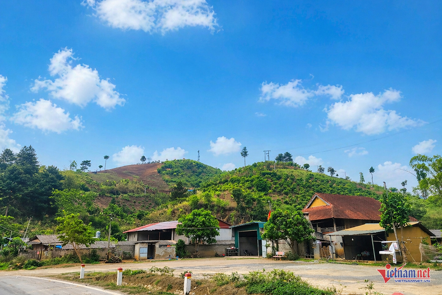 W-281da6f4 79d8 4a83 9ce4 4e0ffe7bbf02.png