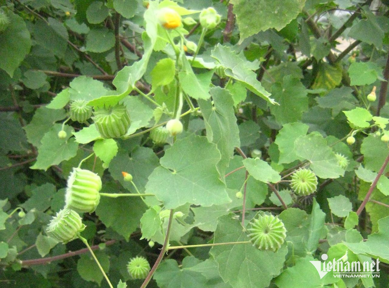 W-b227c0df 6f51 4041 9168 d291ab1f319a.jpeg