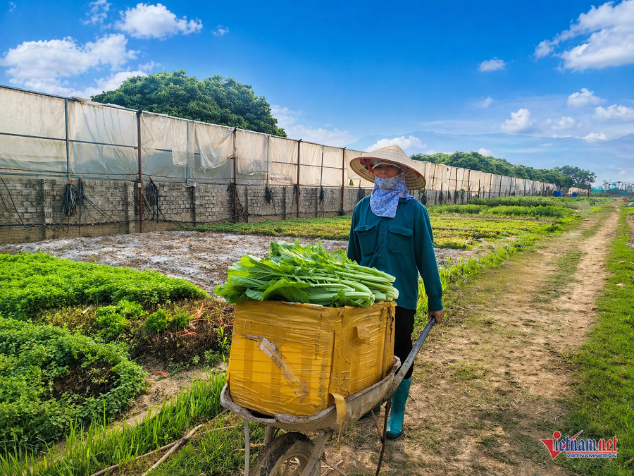 W-b97057cb 85ee 413d aa5a a084c5bb7706.png