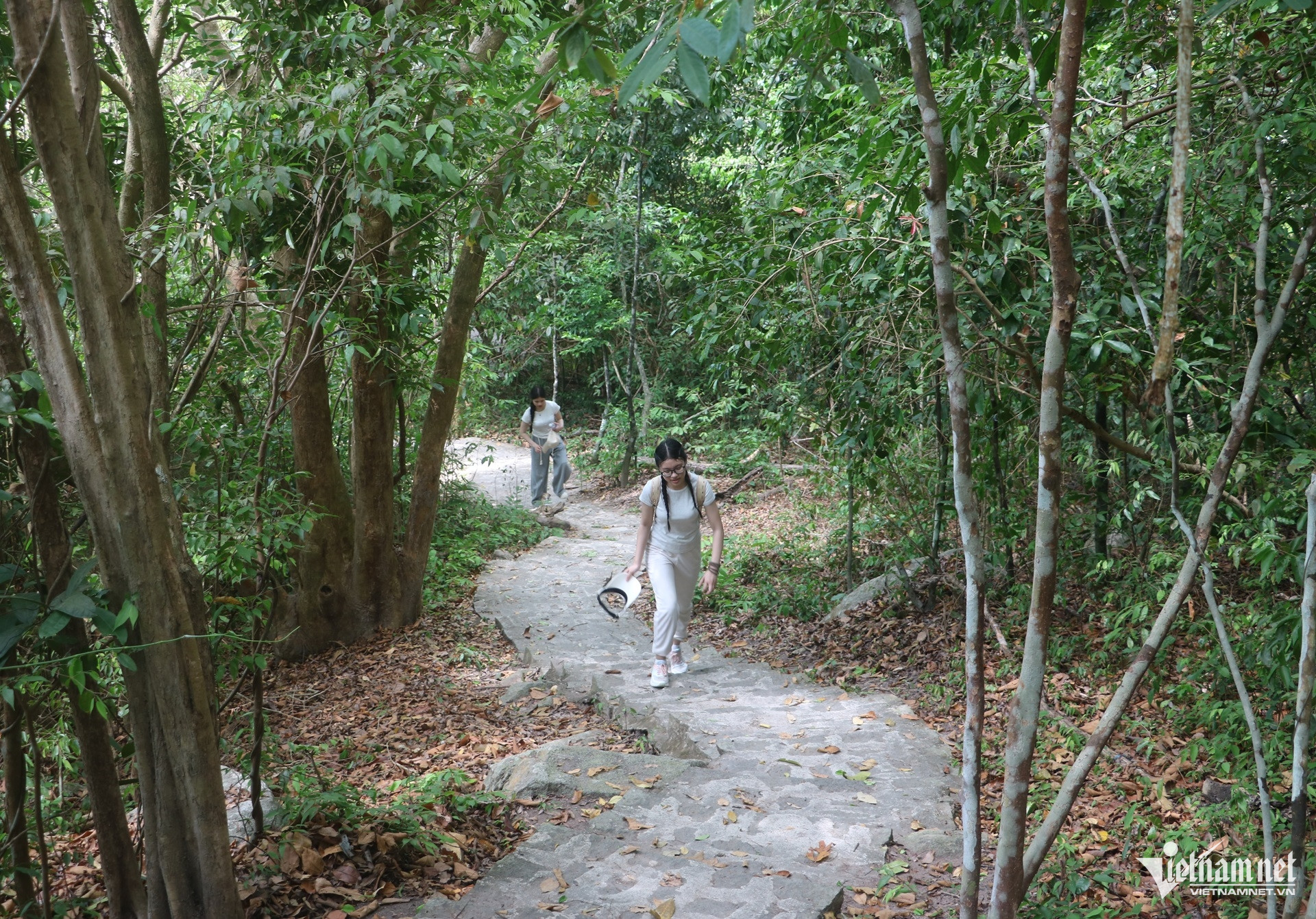 https://static-images.vnncdn.net/vps_images_publish/000001/000003/2026/4/29/w-nui-minh-dam3jpg-1220.jpg