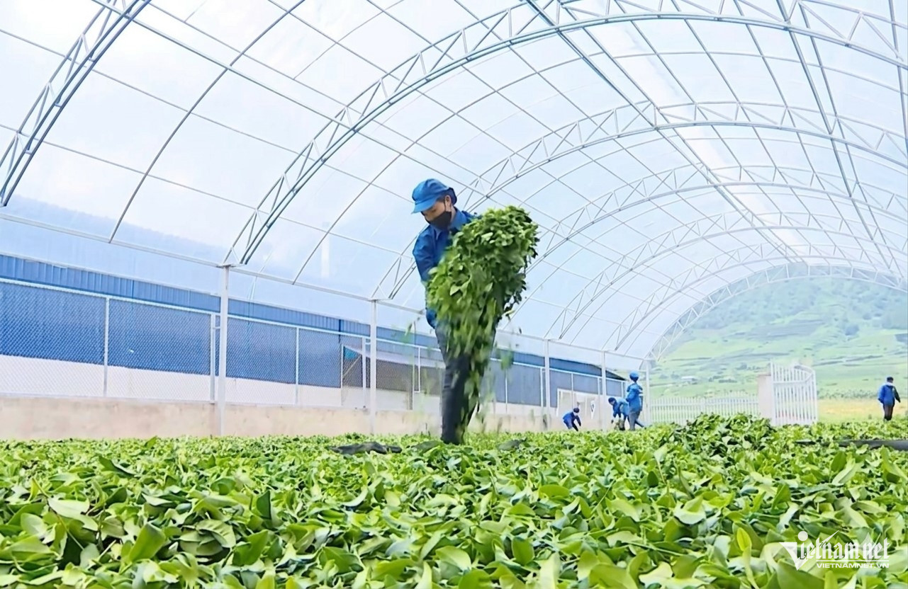 W-Phu nu Dong Nai khoi nghiep 2.jpg