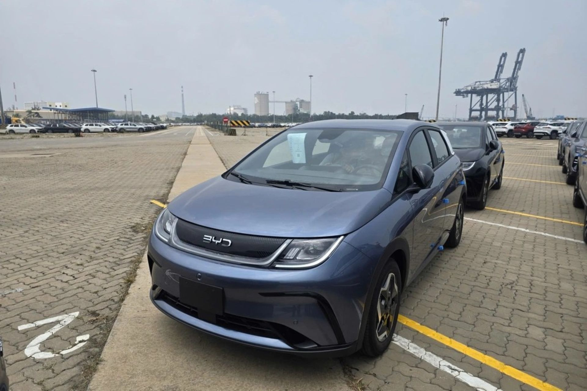 BYD Dolphin 2026.jpg