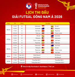 futsal dong nam a.png