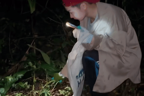 'Lộc trời' ở Lạng Sơn xuất hiện vào buổi tối, khách băng rừng, rọi đèn đi săn