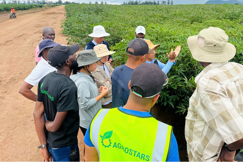 Xuân Thiện Group trúng thầu lô dầu khí KON 9 tại Angola