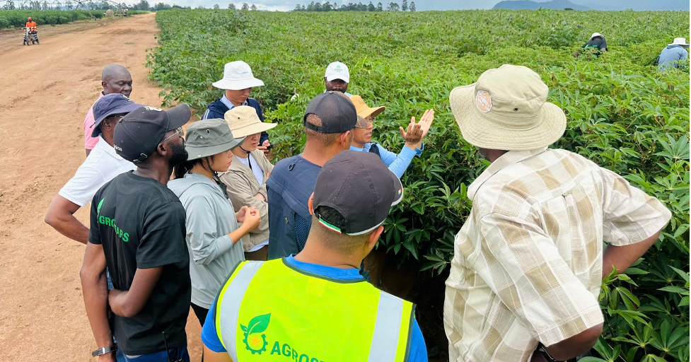 Xuân Thiện Group Làm Chủ Lô Dầu Khí KON 9 Tại Angola, Khẳng Định Vị Thế Quốc Tế