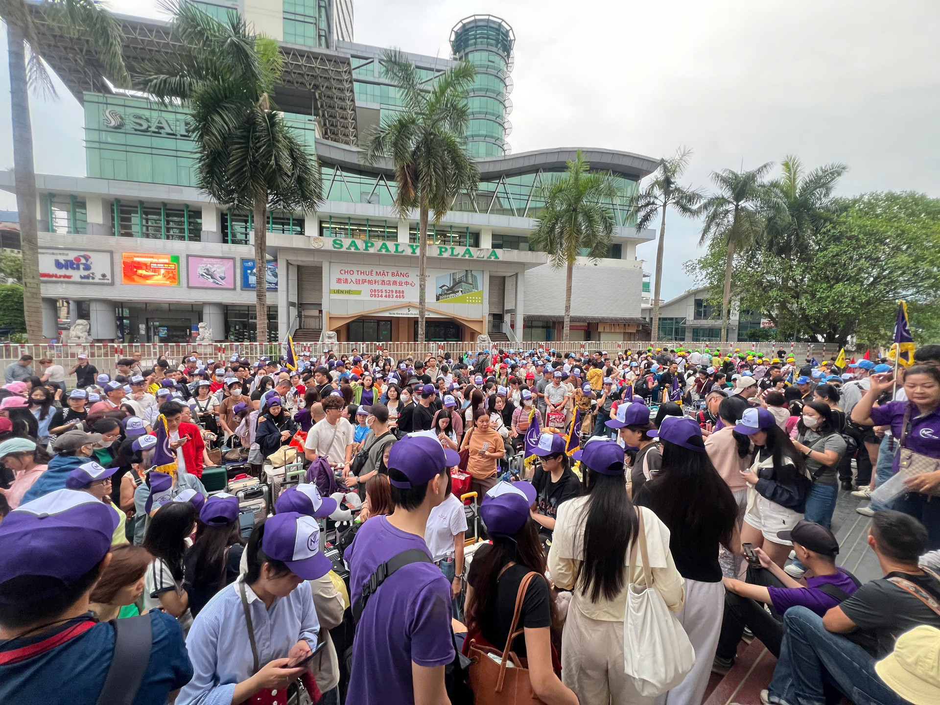 3240125996137342843 (2).jpg