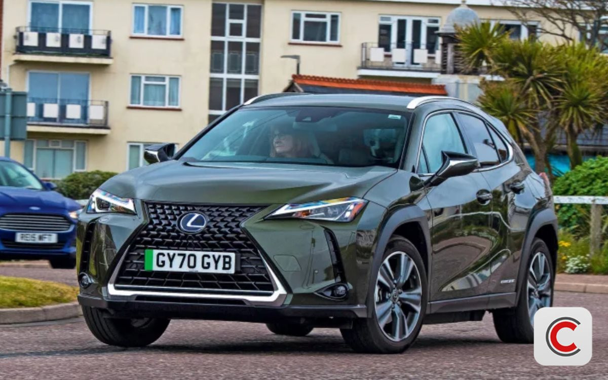 thiet ke chua co ten 48 1772762853107 17727628534422075651902.webp