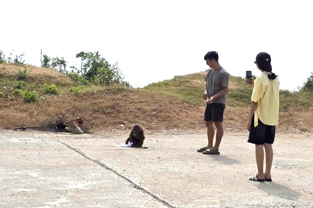 z7777226497441c481bc2f82f86d72ebe42ba410fe4d38 1777515373138832695396.jpg