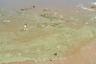 Clip nước biển Bãi Sau Vũng Tàu xanh như matcha, nhiều người e dè không dám tắm