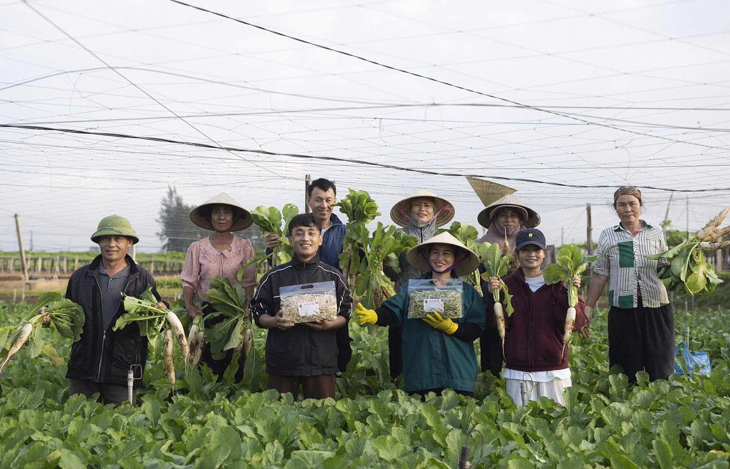 nông sản sấy.jpg