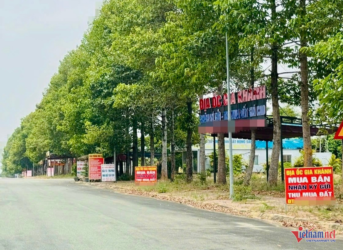 Đất nông nghiệp, đất rừng nguy cơ mất thanh khoản