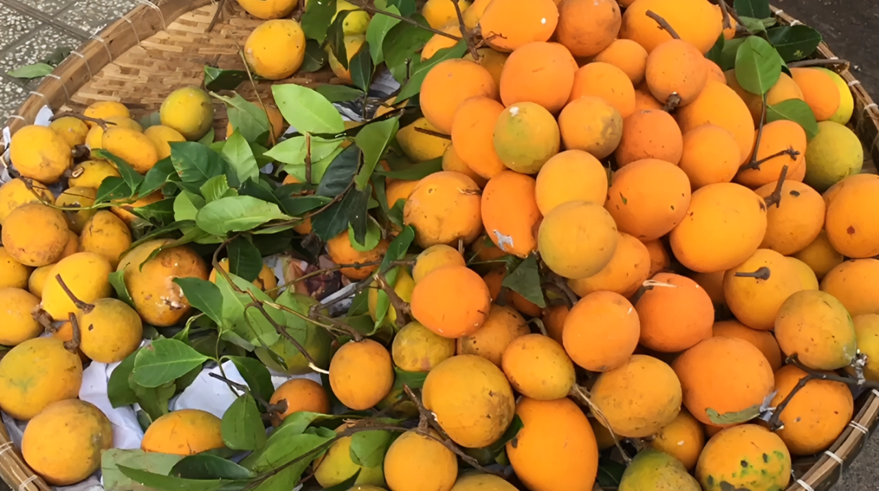 quả gùi   sg nguyen.png