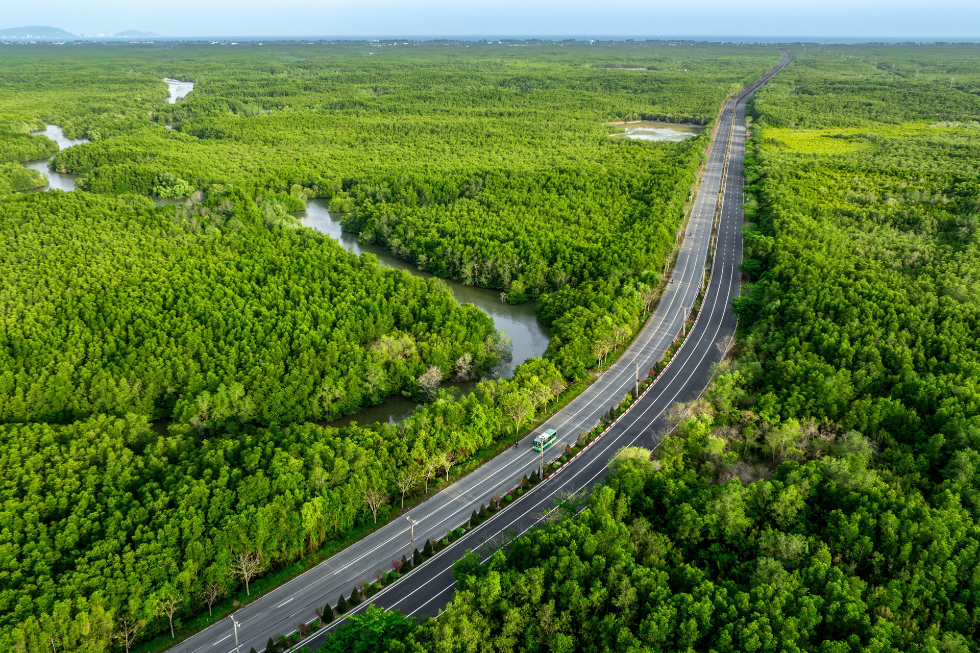 Toàn cảnh con đường xuyên rừng ngập mặn trước đề xuất mở rộng hơn 19.000 tỷ đồng