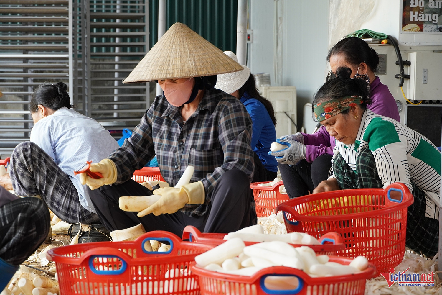 W-củ quả sấy.JPG.jpg