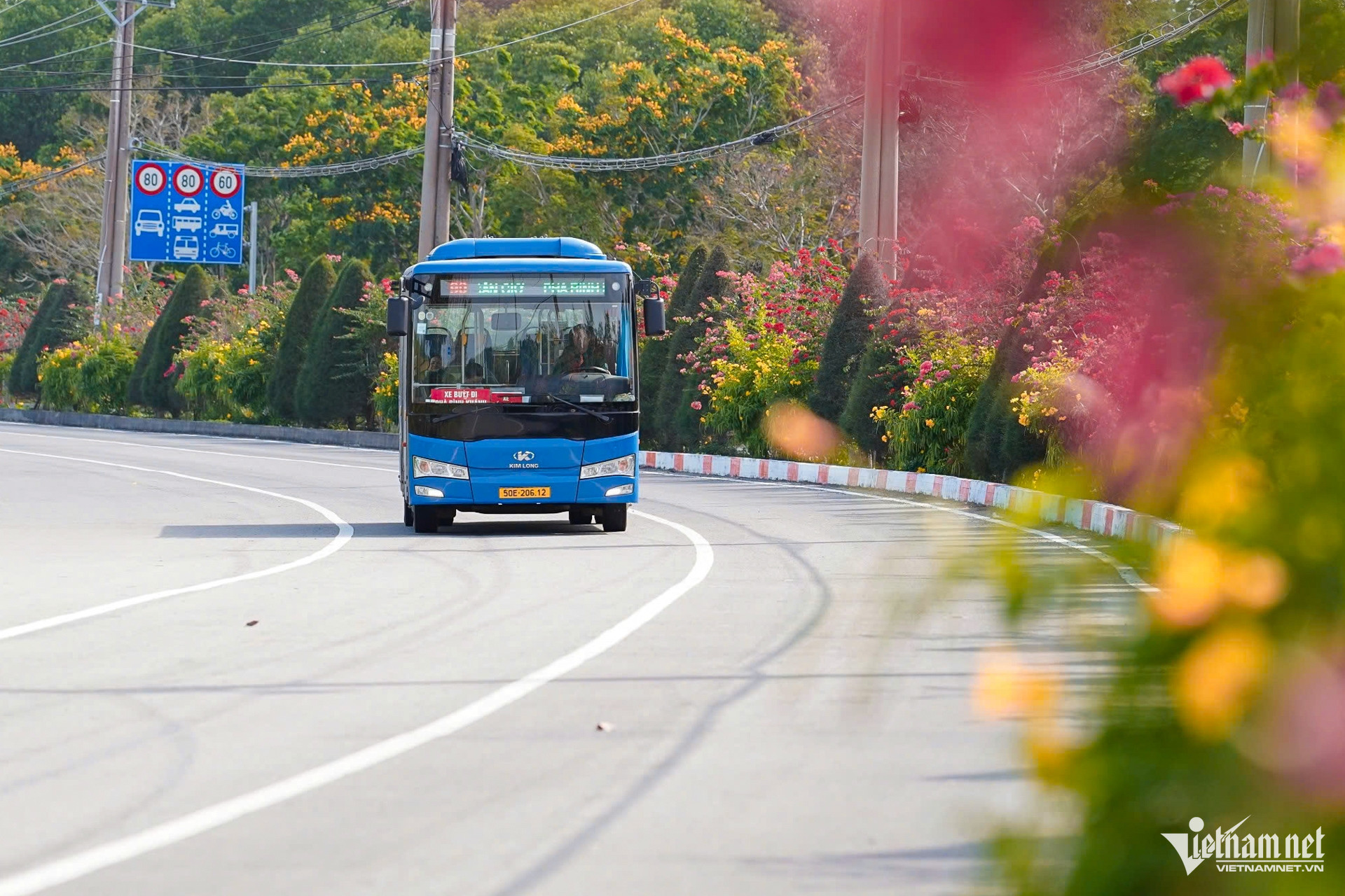 W-đường rừng sác 10.jpg