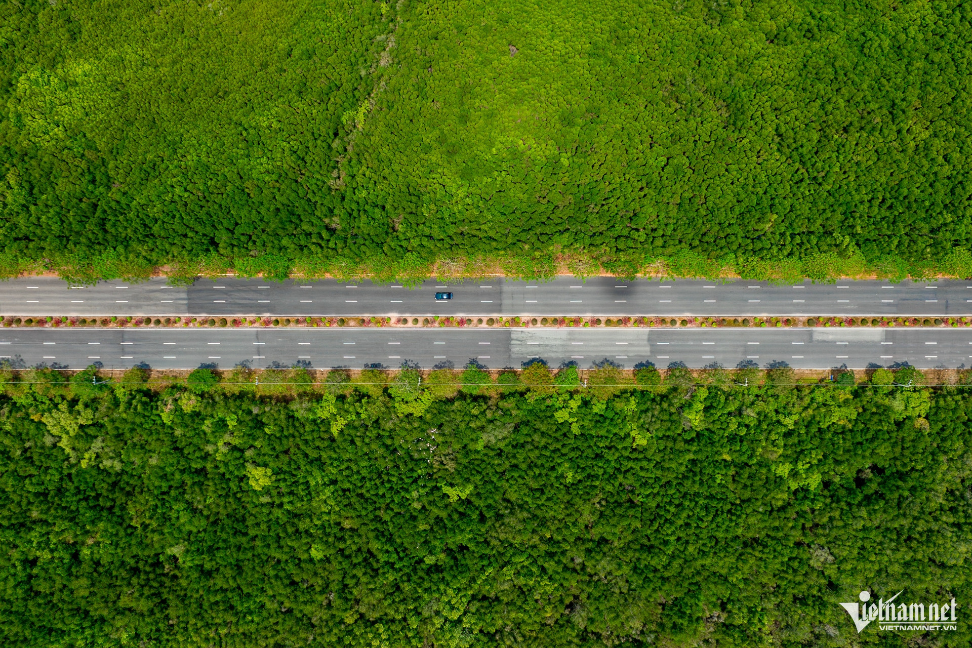 W-đường rừng sác 2.jpg