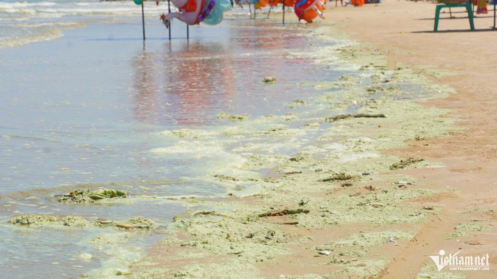 W-Nước biển Bãi Sau Vũng Tàu có màu xanh lạ, bọt nổi lềnh bềnh như 'matcha'.1.jpg