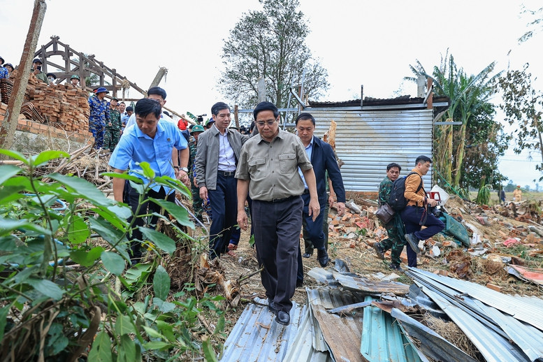 hoathinh 1775315348686301497061.jpg