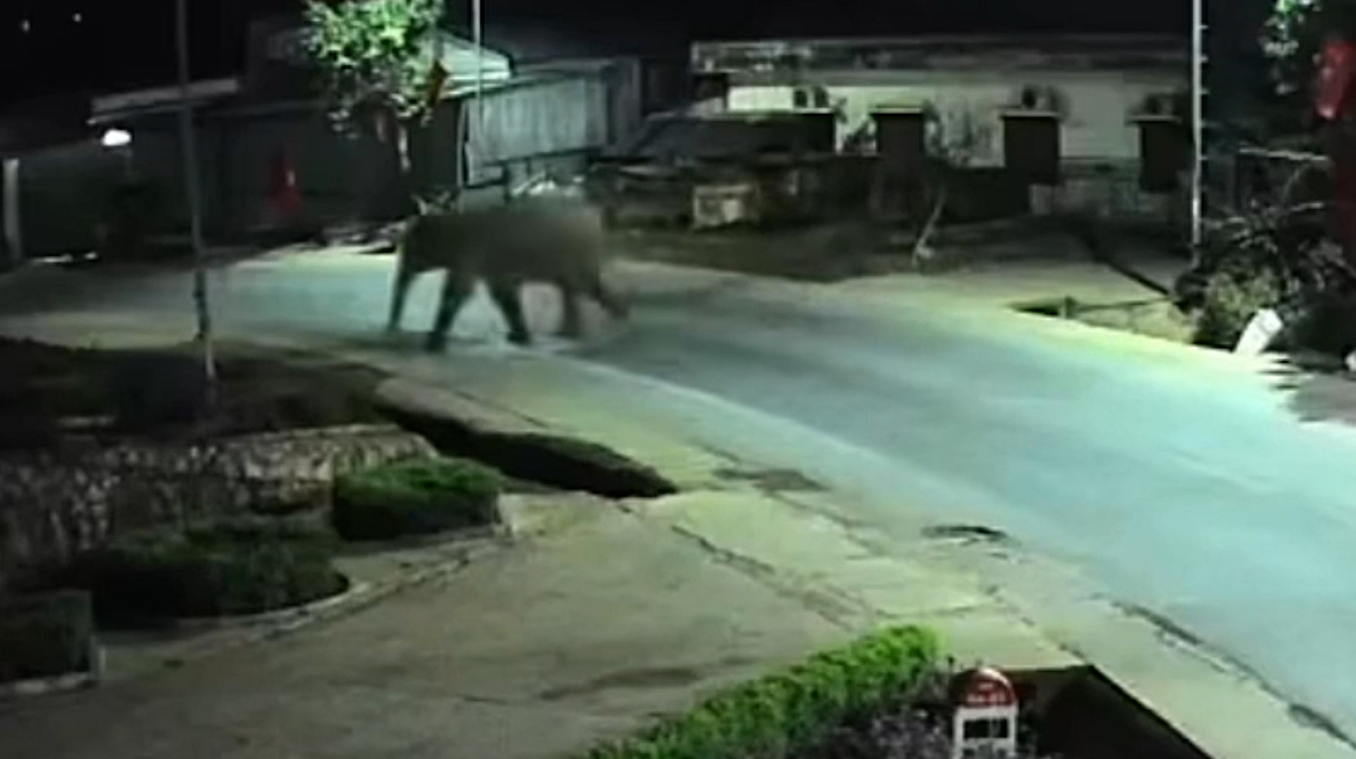 voi rung.00_00_04_19.Still001.jpg