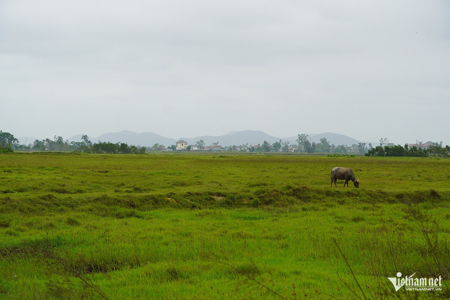 W-TTHC Nghệ An 10.jpg