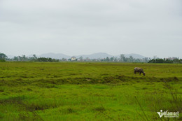 W-TTHC Nghệ An 10.jpg