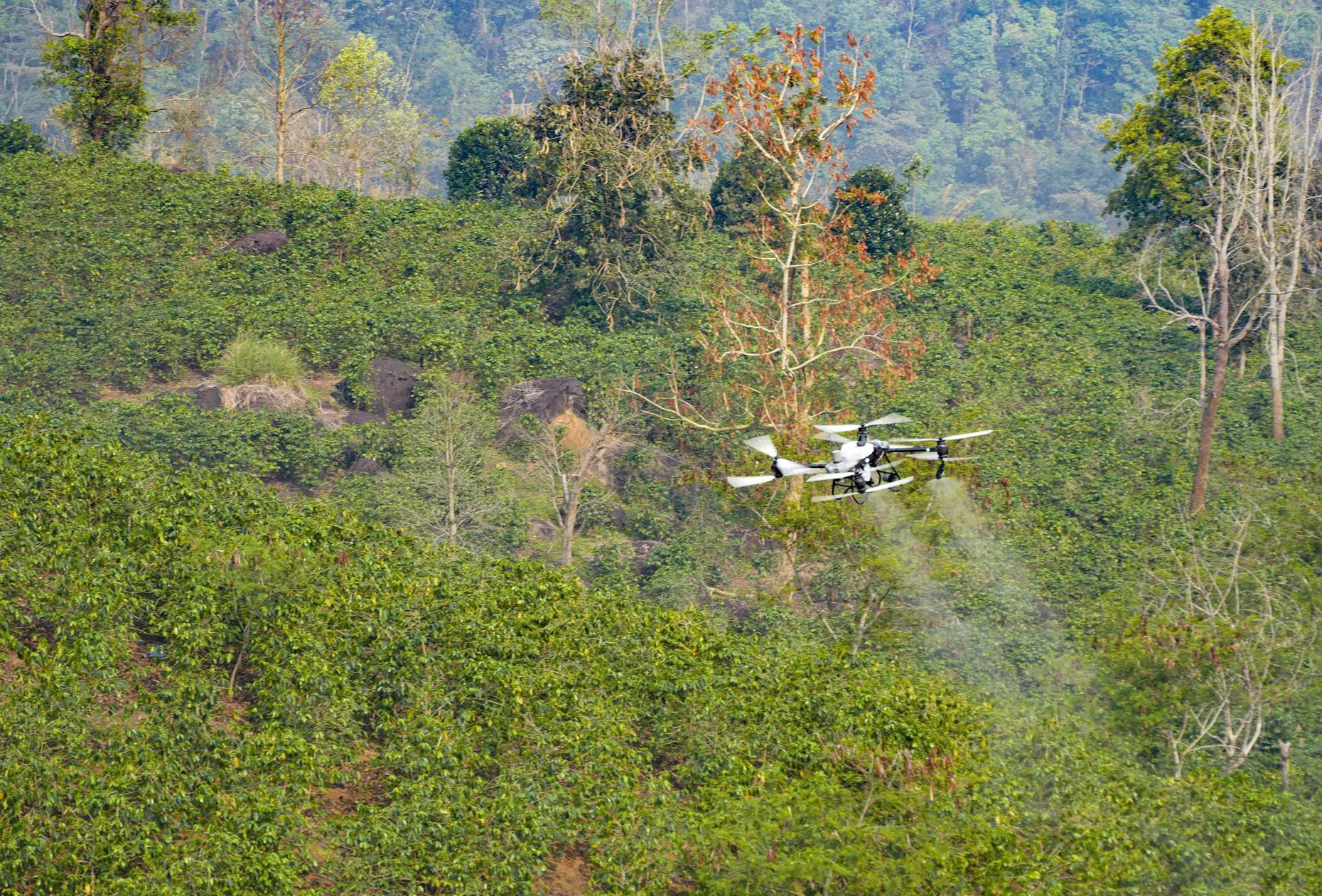 UAV do FPT và Trường Thịnh Drone đang thử nghiệm phun thuốc tại hồ Ảng Cang, bản Mánh Đanh, xã Mường Ảnh, tỉnh Điện Biên.jpg