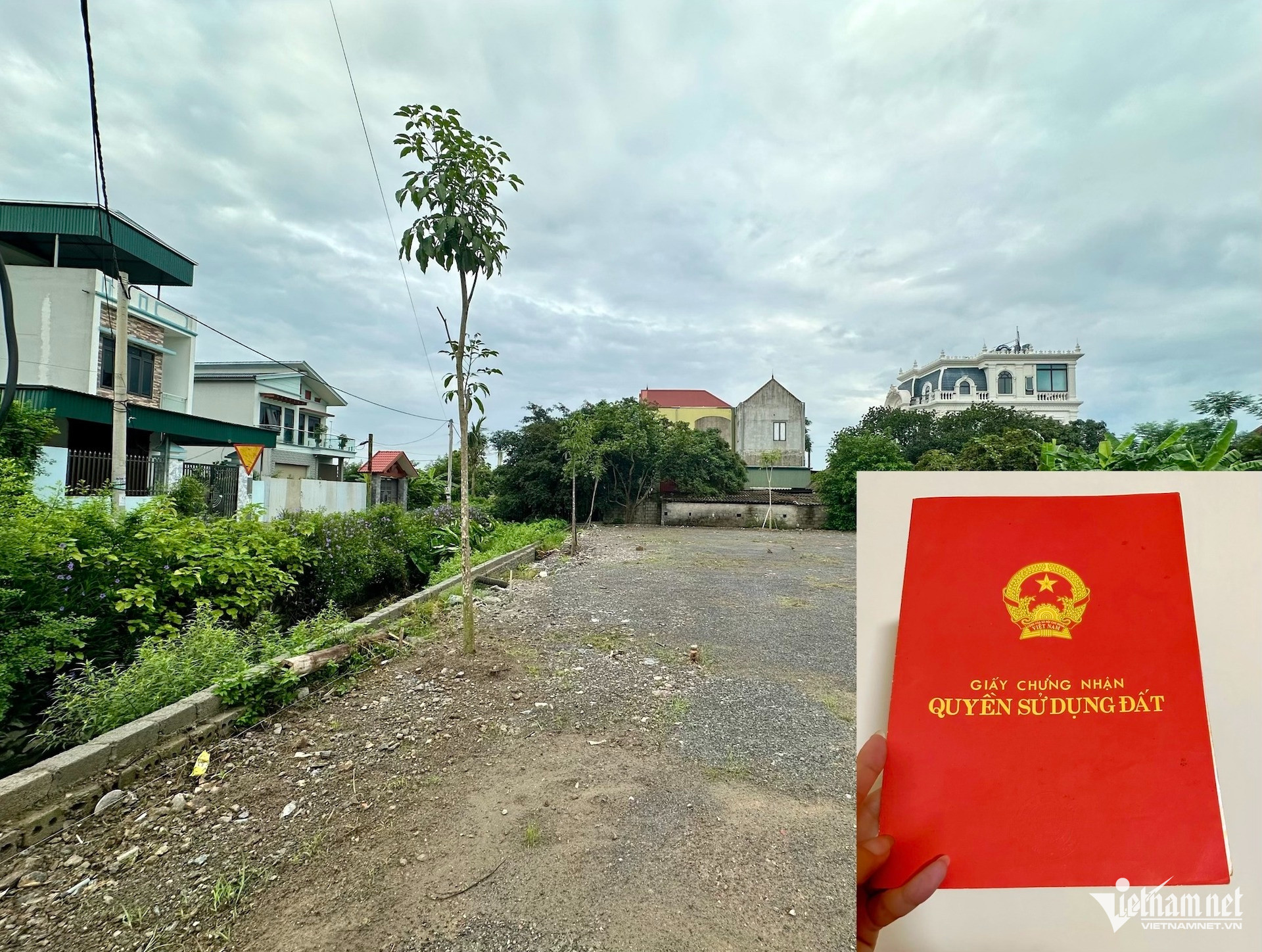 W-dat dai so do vietnamnet.jpg