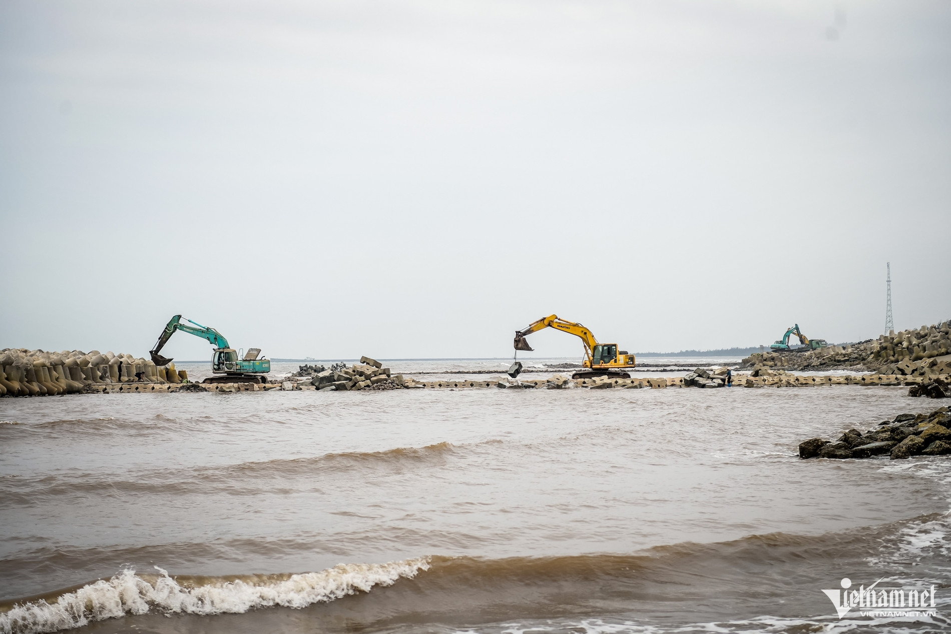 W-Kè thịnh long_15.jpg