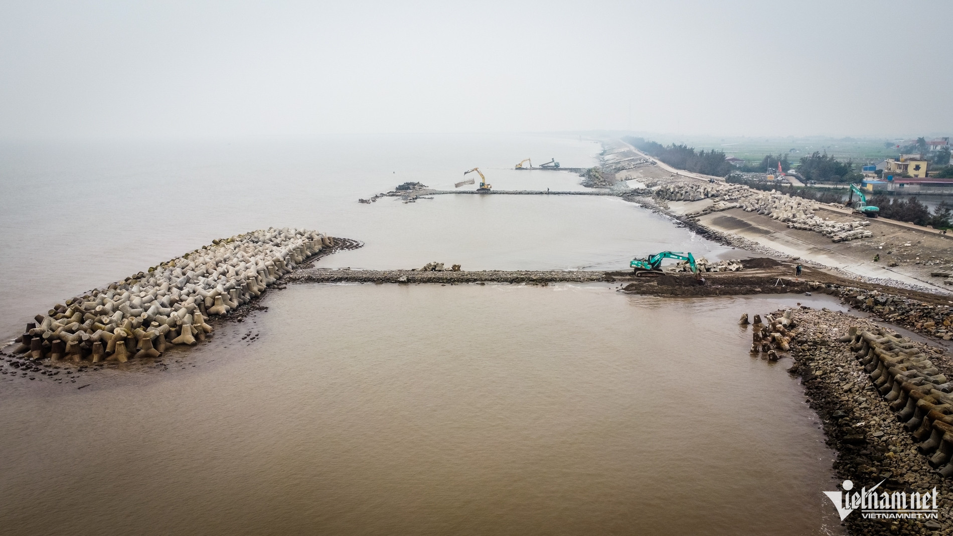 W-Kè thịnh long_4.jpg